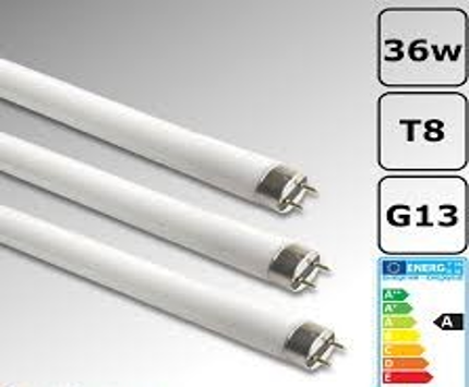 3.TPM LED Lamp Tube 50 EA